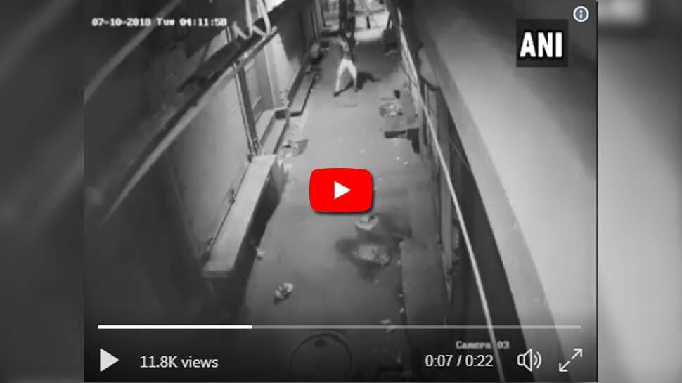 Video: திருட்டுக்கு மத்தியில் ஜாலியாக நடனமாடும் திருடன்! Video: திருட்டுக்கு மத்தியில் ஜாலியாக நடனமாடும் திருடன்!
