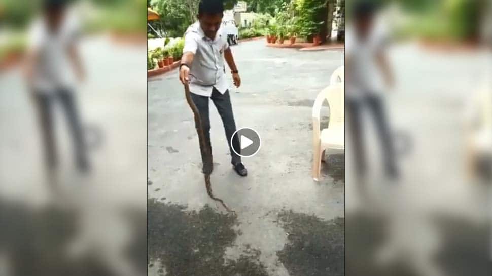 Video: வெறும் கையால் விஷப் பாம்பினை பிடித்து அசத்திய MLA! Video: வெறும் கையால் விஷப் பாம்பினை பிடித்து அசத்திய MLA!