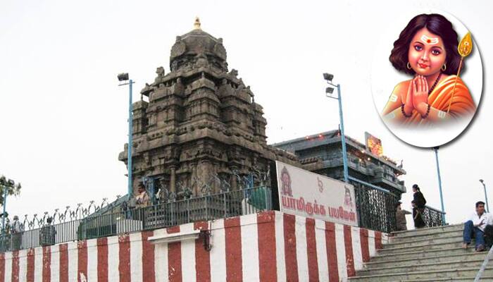 சஷ்டி விரதம் இன்று! மிகுதியான பலன் பெற இதை செய்யுங்கள்! சஷ்டி விரதம் இன்று! மிகுதியான பலன் பெற இதை செய்யுங்கள்!