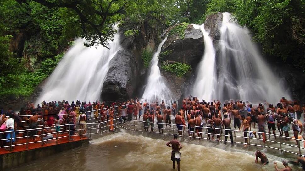 சீசன் துவங்கியதால் குற்றாலத்தில் சுற்றுலா பயணிகள் வருகை அதிகரிப்பு! சீசன் துவங்கியதால் குற்றாலத்தில் சுற்றுலா பயணிகள் வருகை அதிகரிப்பு!