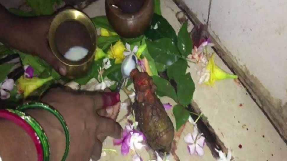பக்தர்கள் வழங்கும் பாலை உட்கொள்ளும் கயாவில் உள்ள நந்தி சிலை! பக்தர்கள் வழங்கும் பாலை உட்கொள்ளும் கயாவில் உள்ள நந்தி சிலை!