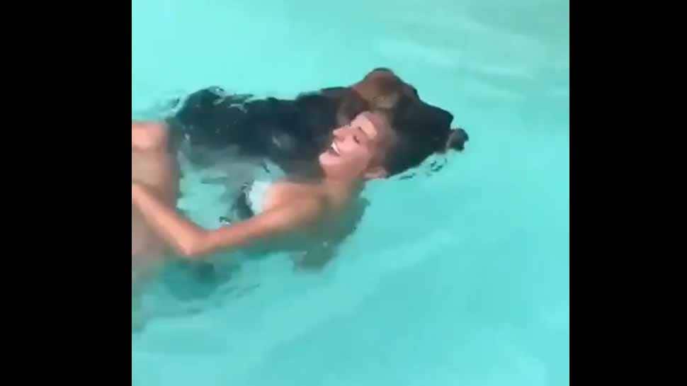 Watch: நீச்சல்குளத்தில் முழ்கிய பெண்ணை பாய்ந்து சென்று காப்பாற்றிய நாய்!! Watch: நீச்சல்குளத்தில் முழ்கிய பெண்ணை பாய்ந்து சென்று காப்பாற்றிய நாய்!!