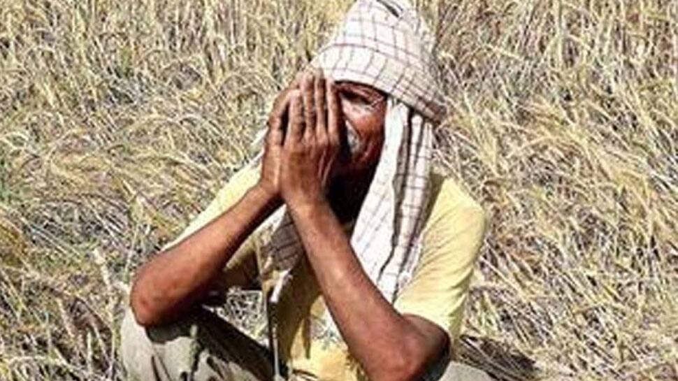 தேர்தல் வருகிறது!! ரூ.4700 கோடி விவசாயகடனை தள்ளுபடி செய்தது ஹரியானா அரசு தேர்தல் வருகிறது!! ரூ.4700 கோடி விவசாயகடனை தள்ளுபடி செய்தது ஹரியானா அரசு