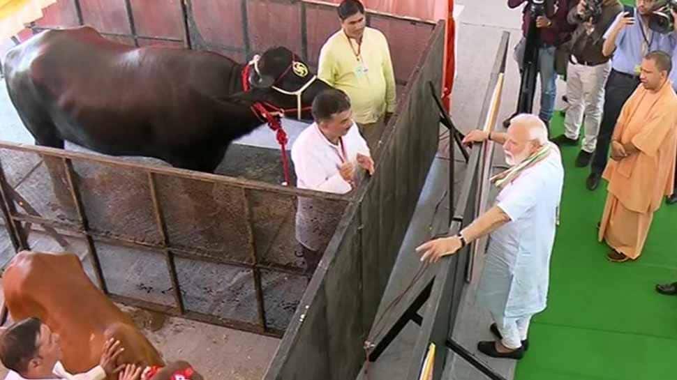 கால்நடைகளுக்கான நோய் தடுக்கும் திட்டத்தை தொடங்கி வைத்தார் மோடி! கால்நடைகளுக்கான நோய் தடுக்கும் திட்டத்தை தொடங்கி வைத்தார் மோடி!