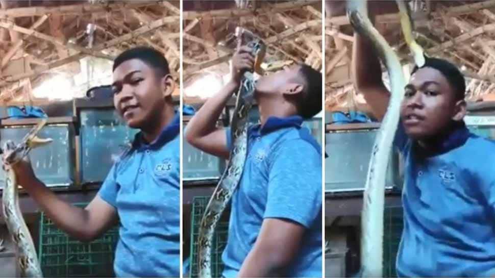பாம்பை வேருப்பெத்திய சிறுவன்; காண்டில் தலையை கவ்விய பாம்பு..! பாம்பை வேருப்பெத்திய சிறுவன்; காண்டில் தலையை கவ்விய பாம்பு..!