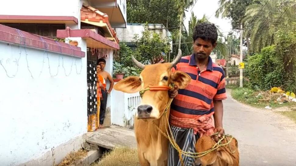 என்னது பசும்பாலில் ‘தங்கம்’ இருக்கா?... அப்போ லோன் தரீங்களா..! என்னது பசும்பாலில் ‘தங்கம்’ இருக்கா?... அப்போ லோன் தரீங்களா..!