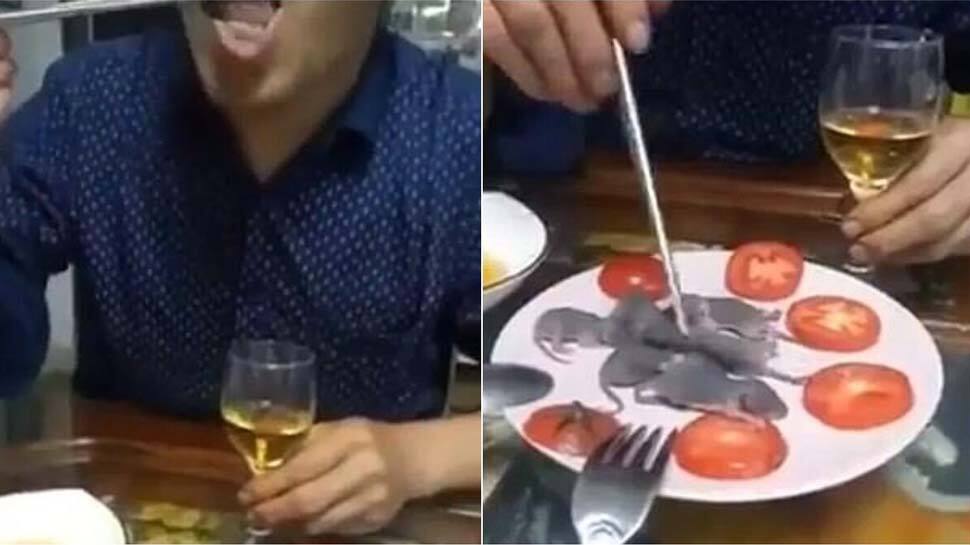 Watch: வைரலாகும் எலி குட்டிகளை உயிருடன் உண்ணும் இளைஞர்..! Watch: வைரலாகும் எலி குட்டிகளை உயிருடன் உண்ணும் இளைஞர்..!