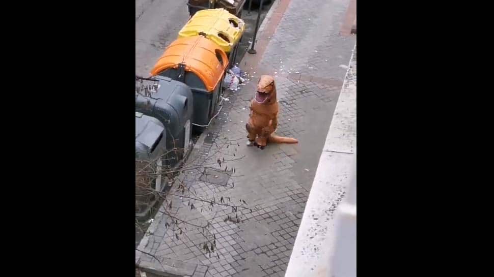 கொரோனாவுக்கு பயந்து டைனோசர் உடையணிந்து தெருவில் நடமாடிய நபர்! கொரோனாவுக்கு பயந்து டைனோசர் உடையணிந்து தெருவில் நடமாடிய நபர்!