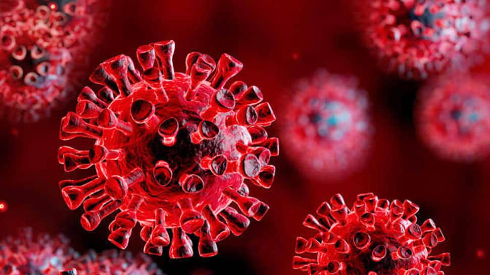 Coronavirus: கோவாவில் மூன்று பேருக்கு வைரஸ் தொற்று உறுதி! Coronavirus: கோவாவில் மூன்று பேருக்கு வைரஸ் தொற்று உறுதி!