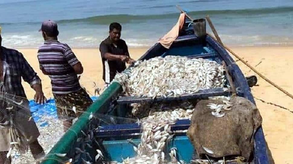 கடலோர பகுதியில் மீனவர்கள் வரும் ஜூன் 4, வரை கடலுக்கு செல்ல தடை... கடலோர பகுதியில் மீனவர்கள் வரும் ஜூன் 4, வரை கடலுக்கு செல்ல தடை...