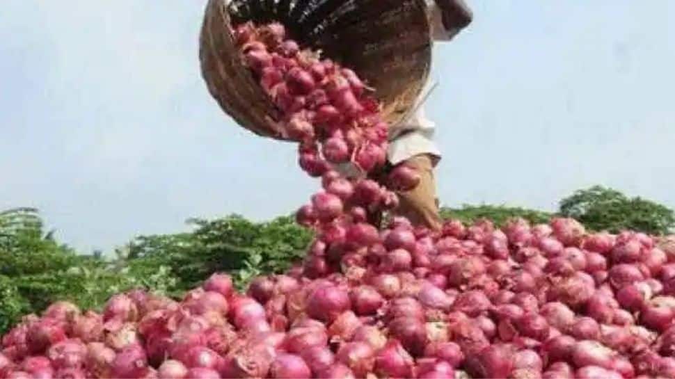 இந்த ஆண்டு வெங்காயத்தின் விலை உங்களை அழ வைக்காது: அரசாங்கம் எடுத்துள்ள அதிரடி நடவடிக்கைகள்!! இந்த ஆண்டு வெங்காயத்தின் விலை உங்களை அழ வைக்காது: அரசாங்கம் எடுத்துள்ள அதிரடி நடவடிக்கைகள்!!