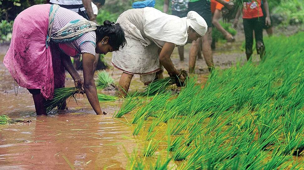 பயிர்களுக்கு சிறந்த விலை, விவசாயிகளுக்கு ஒரு லட்சம் கோடி பரிசு: பிரதமர் மோடி அறிவிப்பு பயிர்களுக்கு சிறந்த விலை, விவசாயிகளுக்கு ஒரு லட்சம் கோடி பரிசு: பிரதமர் மோடி அறிவிப்பு