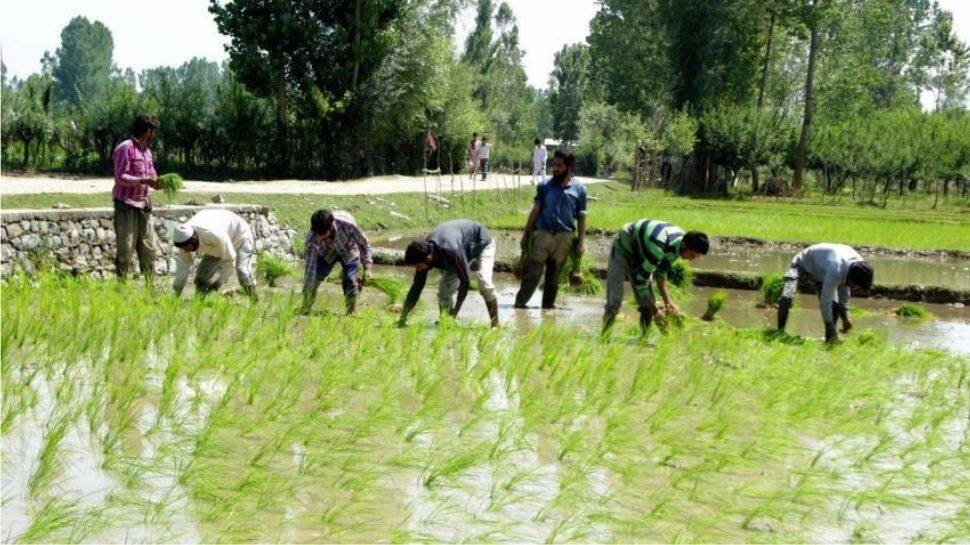 PM Kisan விவசாயிகள் நலத்திட்ட ஊழலில் CBI விசாரணை தேவை: தமிழக விவசாயிகள் PM Kisan விவசாயிகள் நலத்திட்ட ஊழலில் CBI விசாரணை தேவை: தமிழக விவசாயிகள்