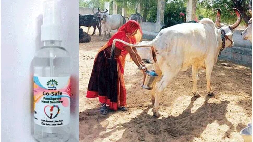 Cow urine Hand sanitizers: கோமியம் சானிட்டிசர்...கொரோனா பரவலை தடுக்குமா? Cow urine Hand sanitizers: கோமியம் சானிட்டிசர்...கொரோனா பரவலை தடுக்குமா?