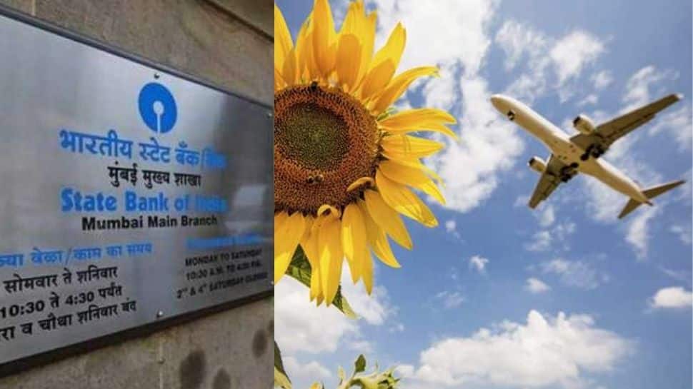 SBI Offer On Travel Get Discount On Domestic Flights Through This Offer