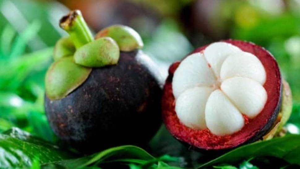 Do you know the diseases which Mangosteen can defeat? | ஊட்டச்சத்துக்கள்  நிறைந்த மங்குஸ்தான் பழம் தீர்க்கும் நோய்கள் எவை தெரியுமா?| News in Tamil