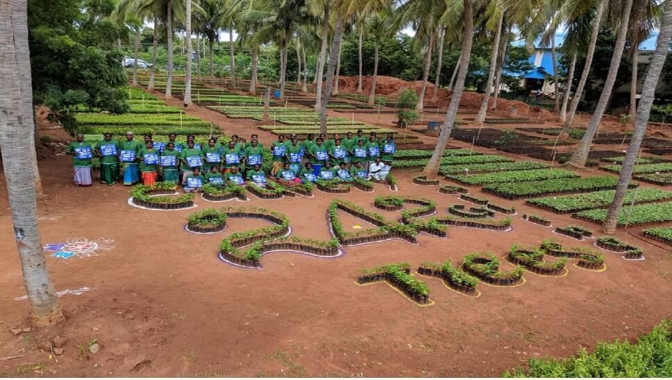 Even public can participate in Isha foundation Tree