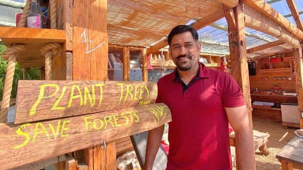 MS Dhoni trolled for his comment Plant Trees; Save Forests Slogan; Know why | Plant Trees என்று கேட்டுக் கொண்ட தோனியை கலாய்ப்பது ஏன்? - Vimarsana News