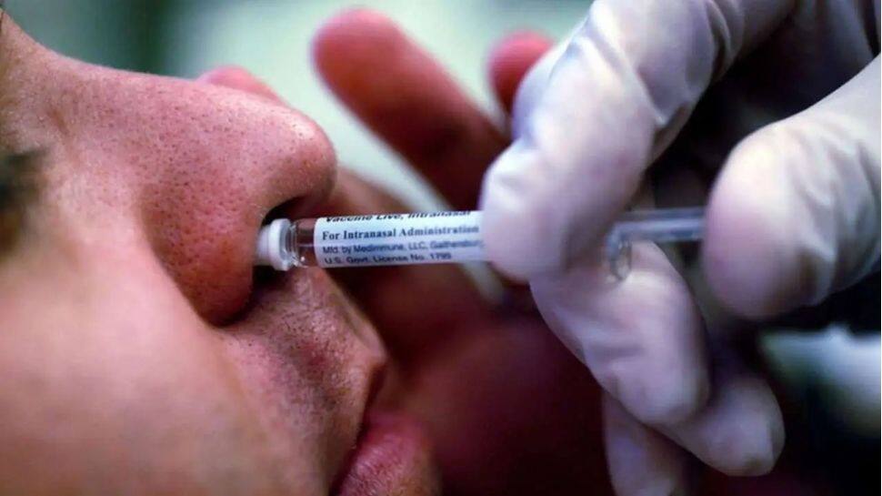 Corona Nasal Vaccine: மூக்கின் வழியாக செலுத்தப்படும் தடுப்பூசி, ஒரு மைல்கல்லாக இருக்குமா..!!! Corona Nasal Vaccine: மூக்கின் வழியாக செலுத்தப்படும் தடுப்பூசி, ஒரு மைல்கல்லாக இருக்குமா..!!!
