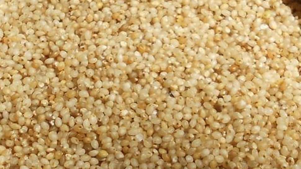 Health Benefits of Samai alias little millet, the immunity boosting