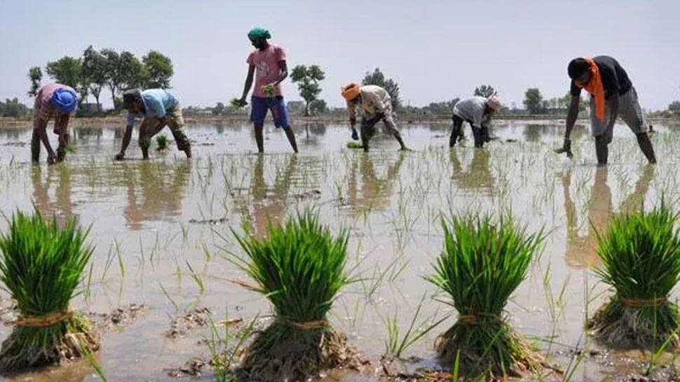 Agricultural Skills Development | ஊரக இளைஞர் வேளாண் திறன் மேம்பாட்டு ...