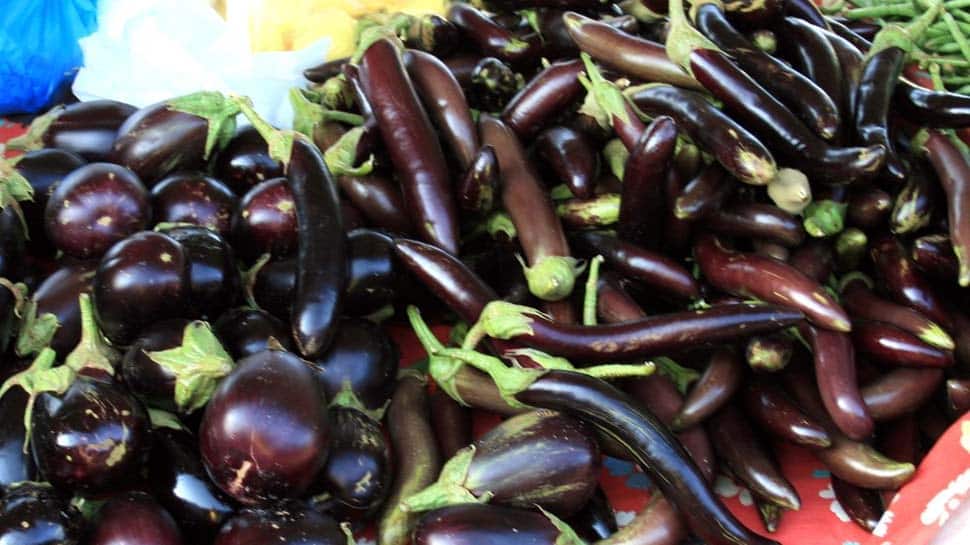 Do you know the super and bad benefits of eggplant alias Bringal