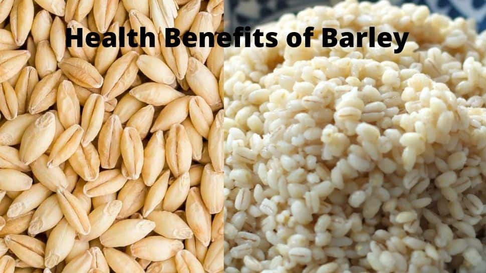 Wow! Know the Nutritious barley and its amazing benefits; know how to