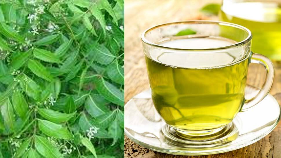 Know how to prepare Neem tea to control diabetes Health News சர்க்கரை நோயை கட்டுப்படுத்தும்