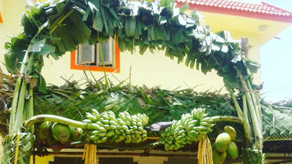 what is the reason behind to build Banana tree in Auspicious events |  வீட்டில் நிகழும் சுப நிகழ்ச்சிகளுக்கு வாழைமரம் கட்டுவது ஏன் | Lifestyle  News in Tamil