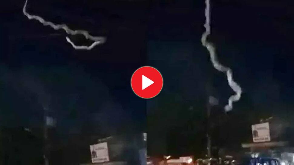 அந்தரத்திலிருந்து விழுந்த பாம்பு; அலறிய மக்கள்- வைரல் வீடியோ