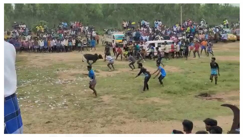 அனுமதியின்றி நடைபெற்ற மஞ்சுவிரட்டில் ஒருவர் பலி; பாய்ந்தது வழக்கு!