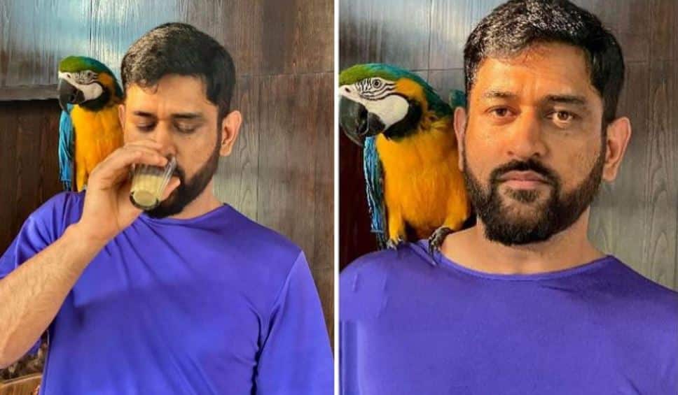 Mahi and his Honey! வைரலான  தோனியின் புகைப்படம்! 