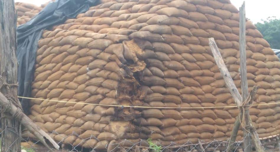 அலட்சியத்தால் அரசு நெல் கொள்முதல் நிலையங்களில் வீணாகும் நெல் மூட்டைகள்!