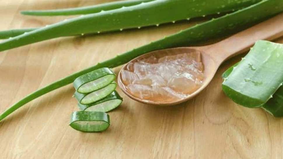 Dangerous side effects of Aloe Vera Aloe Vera இவர்கள் கட்டாயமாக