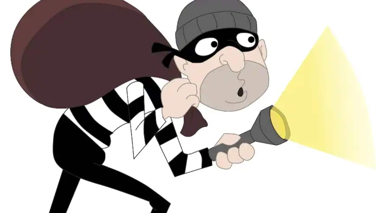 டயட் இருந்து உடல் எடையை குறைத்து உரிமையாளர் வீட்டில் கொள்ளையடித்த திருடன்!