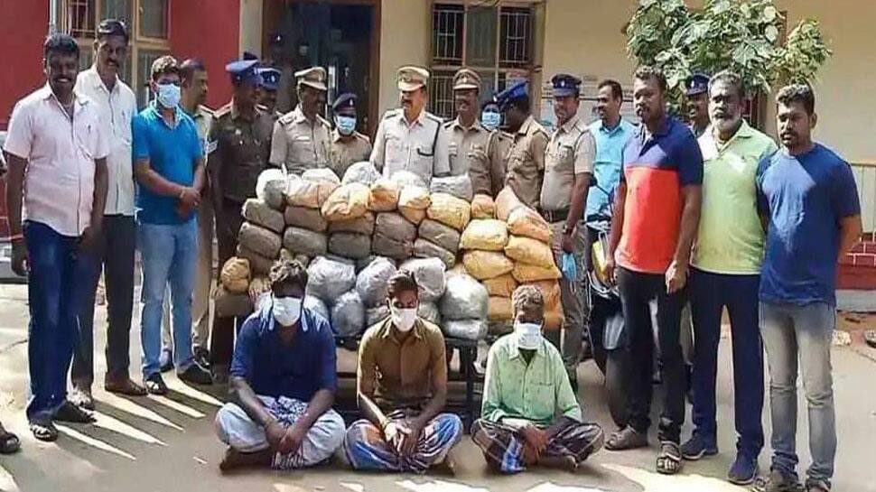 வீட்டில் பதுக்கியிருந்த ₹20 லட்சம் மதிப்புள்ள கஞ்சா பறிமுதல்; 3 பேர் கைது