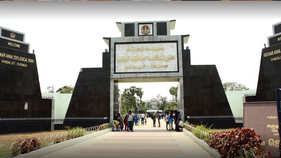 Corona prevention: வண்டலூர் உயிரியல் பூங்காவில் கொரோனா தடுப்பு முன்னேற்பாடுகள்