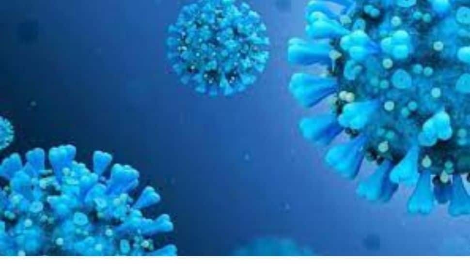 'Omicron is not common cold', NITI Aayog's VK Paul warns | Omicron ...