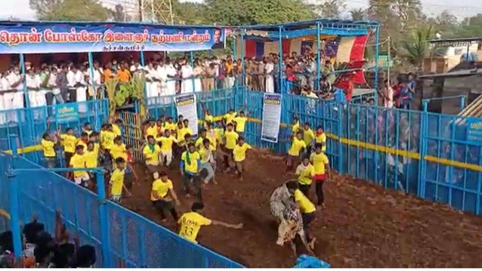 Jallikattu: புத்தாண்டின் முதல் ஜல்லிக்கட்டு போட்டிகள் புதுக்கோட்டையில் தொடங்கின...