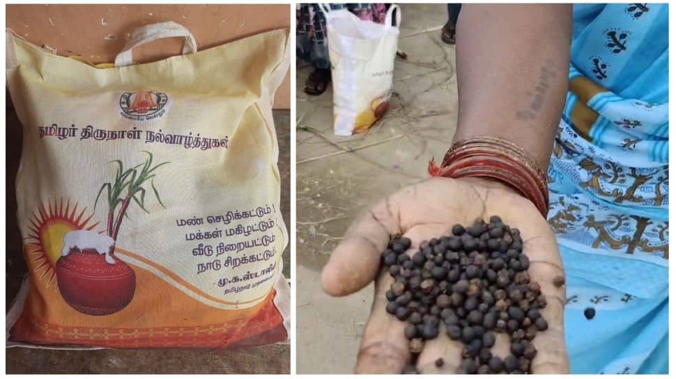 Public blames about bad Quality of Pongal gift package | பொங்கல் பரிசு  தொகுப்பில் தரமற்ற பொருட்கள் பொதுமக்கள் குற்றச்சாட்டு | Tamil Nadu News in  Tamil