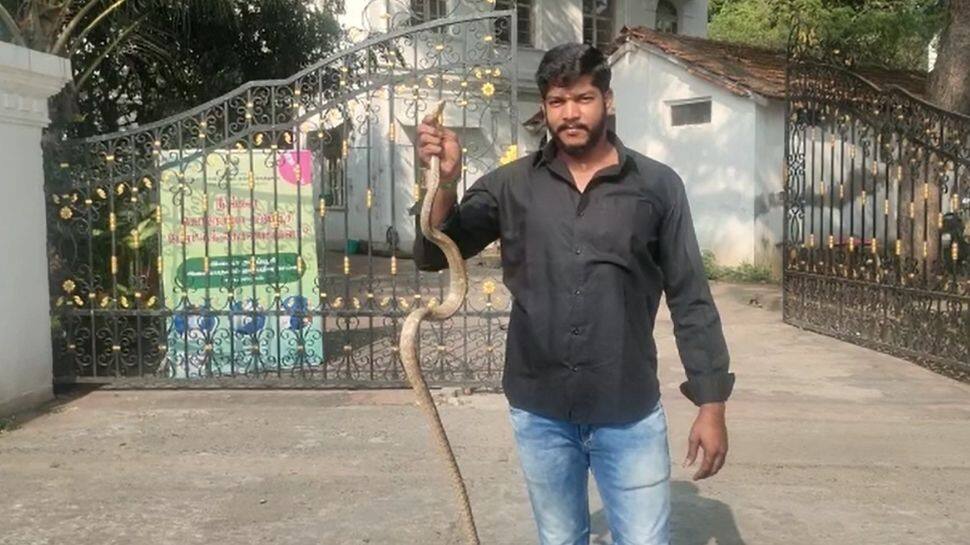 Watch Video: அச்சுறுத்திய பாம்பை வளைத்து பிடித்த வாலிபர்; குவியும் பாராட்டு..!!