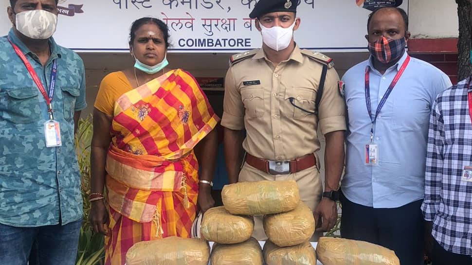 கோவையில் தொடரும் கஞ்சா வேட்டை