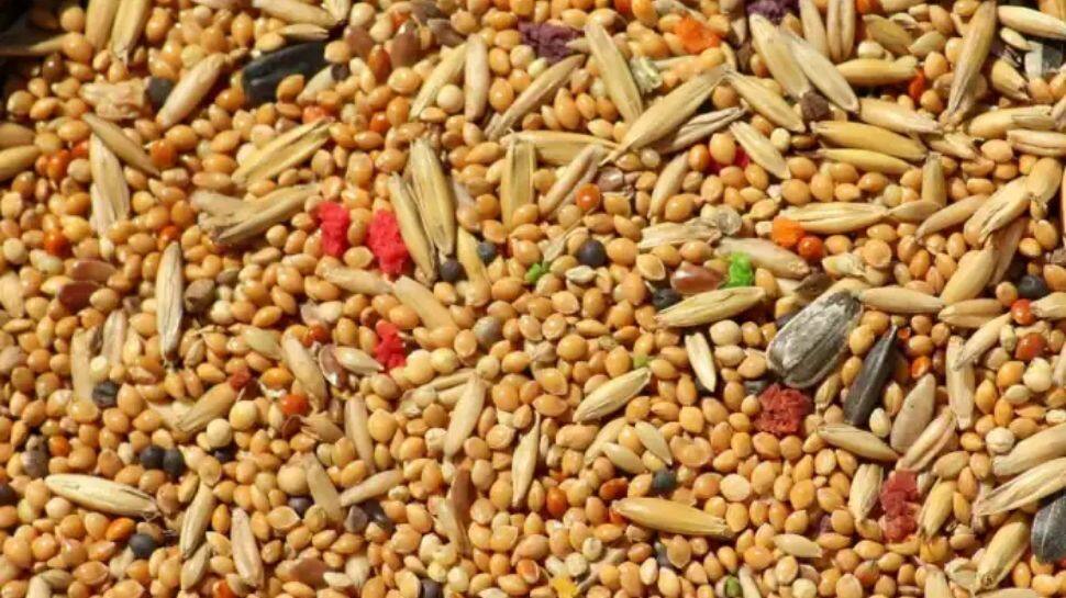 ராகி, கம்பு நியாயவிலைக் கடைகளில் விற்பனை..! தமிழக அரசு உத்தரவு