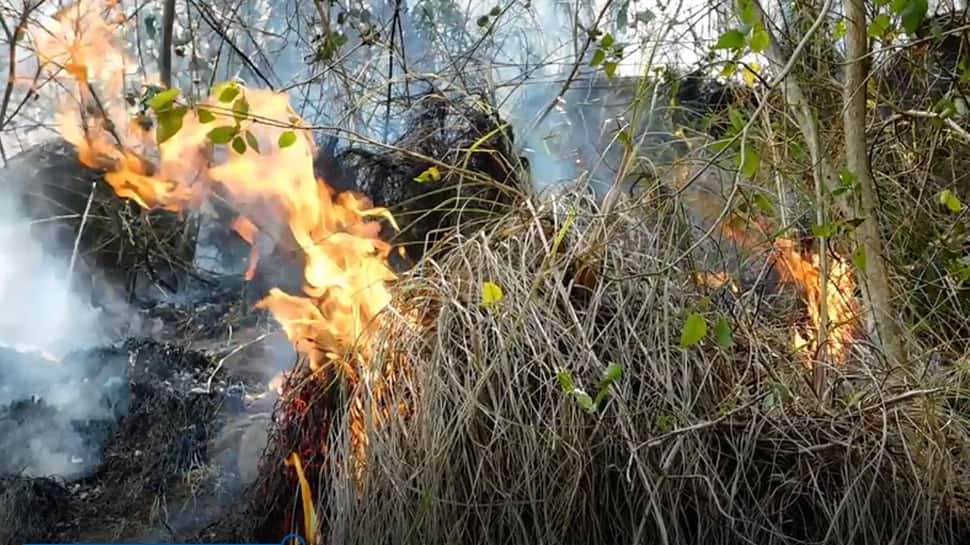 கொடைக்கானலில் பரவும் காட்டுத்தீ - தீயை அணைக்க வீரர்கள் போராட்டம்