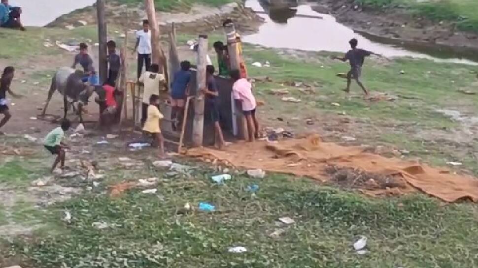 வைகை ஆற்றில் வாடிவாசல் - காளைகளை அடக்கி விளையாடும் சிறுவர்கள்