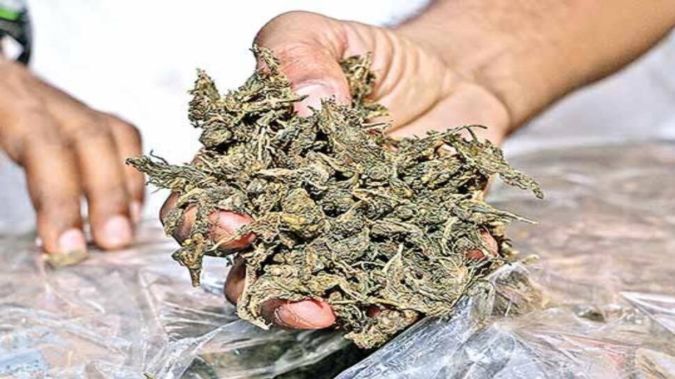 பயணிகள் பேருந்தில் கஞ்சா கடத்தல் : தொடரும் குற்ற சம்பவம்..!