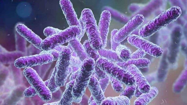 கோழிக்கோடு பகுதியில் மீண்டும் ஷிகெல்லா வைரஸ்! தமிழகத்திற்கு ஆபத்து?