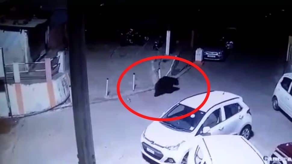 வீட்டு கதவை தட்டும் கரடியால் கிராம மக்கள் அச்சம்