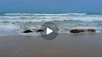 தனுஷ்கோடியில் 58 ஆண்டுகளுக்கு முன்பு மூழ்கிய தரைப்பாலம்! 