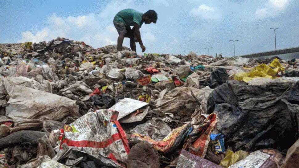 discovery-of-new-enzyme-phl7-by-scientists-to-destroy-plastic-waste